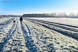 09-01-2021 Breda - De 1e speldeprik van de winter. Rijp kleurt het landschap ten noorden van de Haagse Beemden prachtig wit. - Fotokrant
